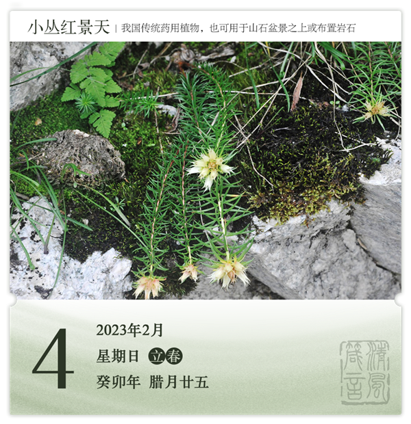 1706686094691916.png 箴历日历2-4.png