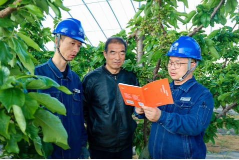 国网庆阳供电公司:电力赋能特色产业 精准服务助力乡村振兴