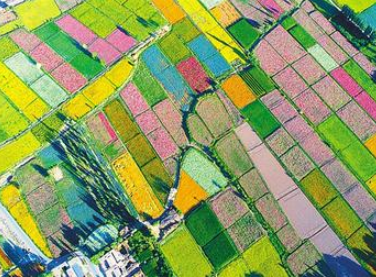 【迈好第一步 见到新气象】凯发k8发展特色产业推动脱贫攻坚衔接乡村振兴报道之五  织密产业“安全网” 农户吃上“定心丸”