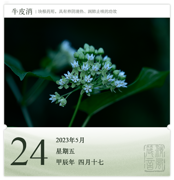 箴历日历5-24.png