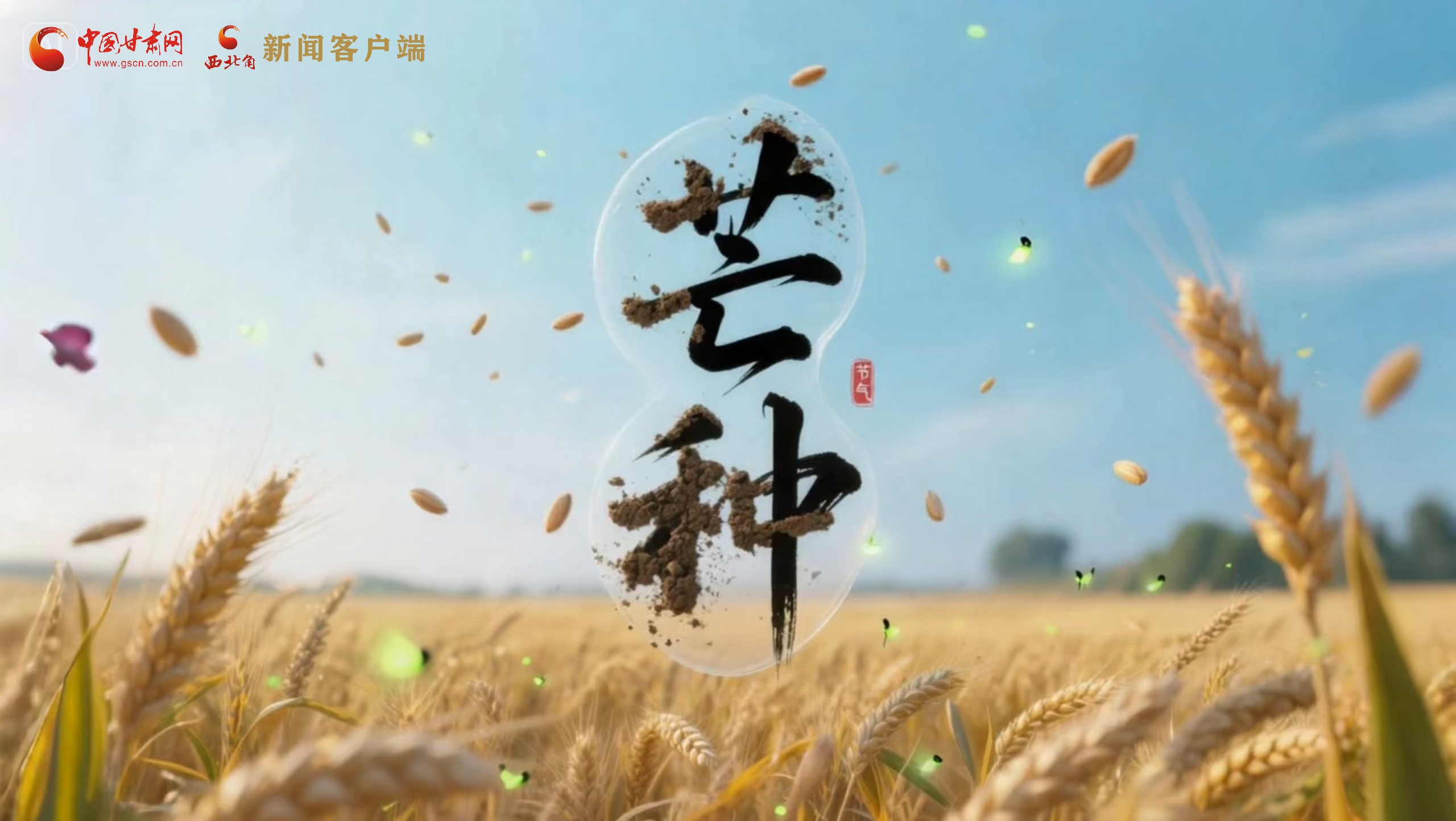 AI视频|芒种：“芒”在当下 “种”在未来