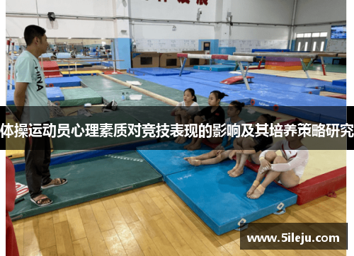 体操运动员心理素质对竞技表现的影响及其培养策略研究