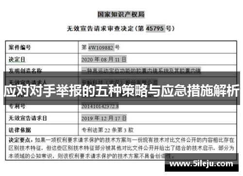 应对对手举报的五种策略与应急措施解析
