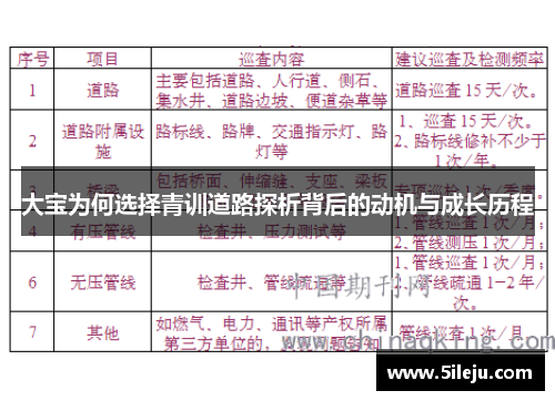 大宝为何选择青训道路探析背后的动机与成长历程