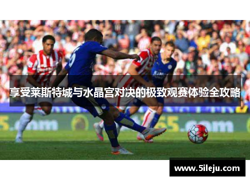 享受莱斯特城与水晶宫对决的极致观赛体验全攻略