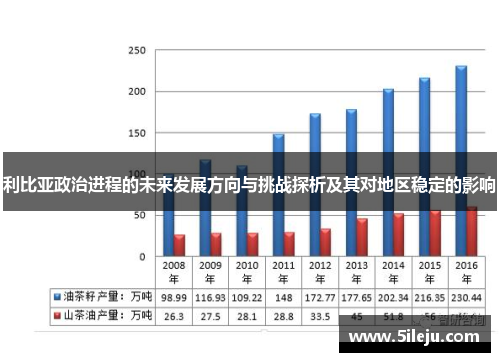 利比亚政治进程的未来发展方向与挑战探析及其对地区稳定的影响