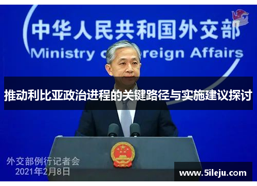 推动利比亚政治进程的关键路径与实施建议探讨