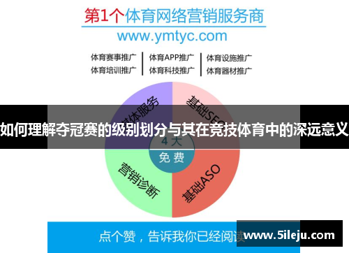 如何理解夺冠赛的级别划分与其在竞技体育中的深远意义