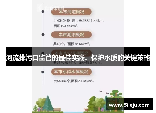 河流排污口监管的最佳实践：保护水质的关键策略