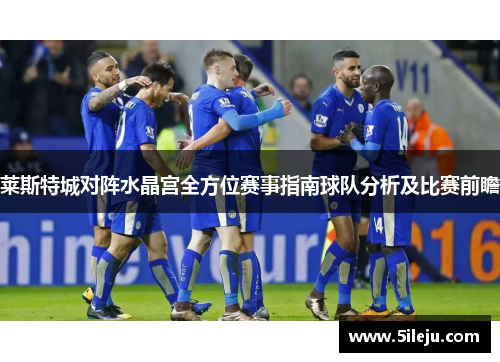 莱斯特城对阵水晶宫全方位赛事指南球队分析及比赛前瞻