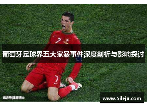 葡萄牙足球界五大家暴事件深度剖析与影响探讨