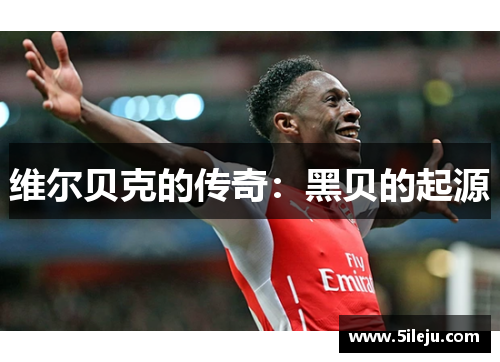 维尔贝克的传奇：黑贝的起源
