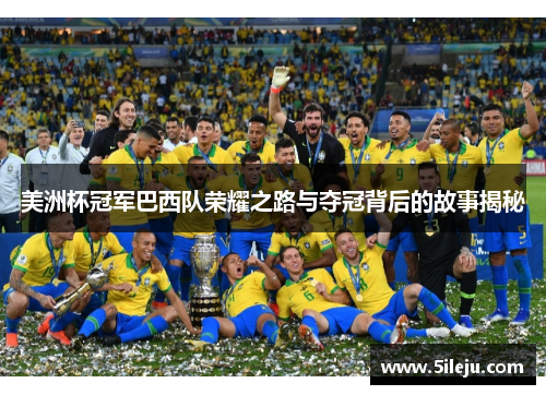 美洲杯冠军巴西队荣耀之路与夺冠背后的故事揭秘